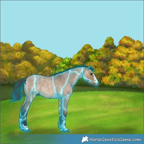 Horse Color:Thunderstruck Bay Roan Dun 