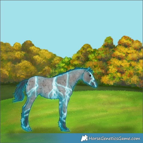 Horse Color:Thunderstruck Grullo Roan 
