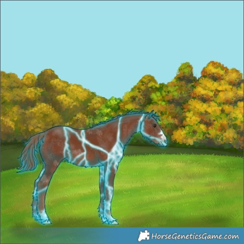 Horse Color:Thunderstruck Chestnut 