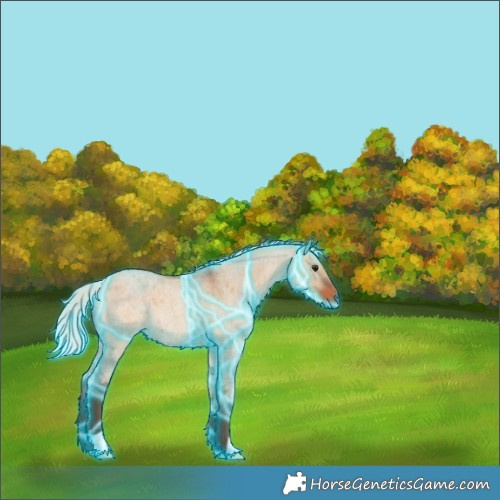 Horse Color:Thunderstruck Silver Bay Roan Dun 