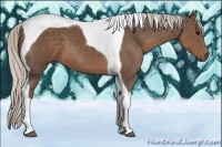 Horse Color:Silver Black Tobiano