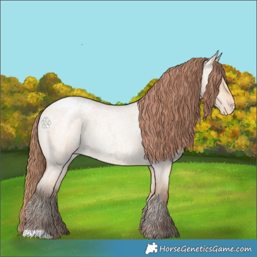 Horse Color:Amber Champagne Roan Dun Appaloosa 
