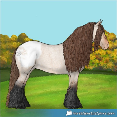 Horse Color:Bay Roan Dun Snowcap Rabicano