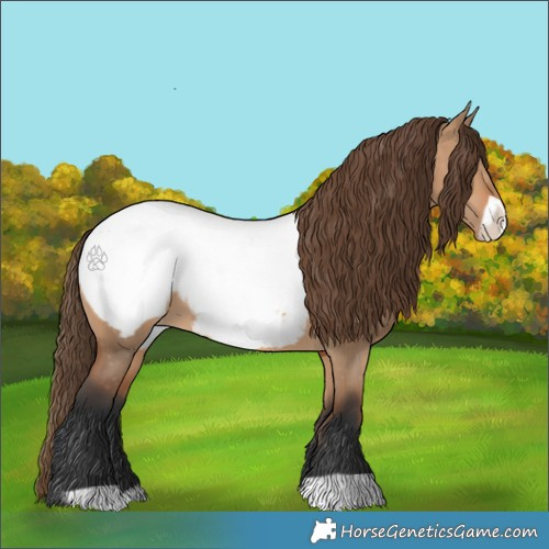 Horse Color:Bay Dun Frame Snowcap