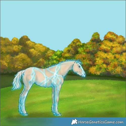 Horse Color:Thunderstruck Gold Cream Champagne Dun 
