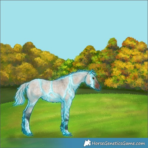 Horse Color:Thunderstruck Silver Brown Roan Dun Tobiano 