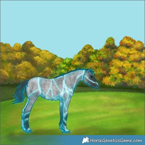 Horse Color:Thunderstruck Brown Roan 