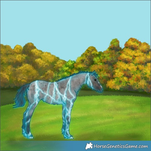 Horse Color:Thunderstruck Brown Roan Dun Rabicano 