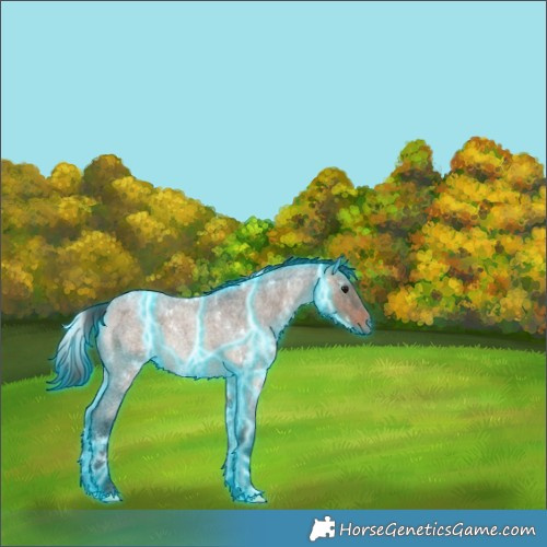 Horse Color:Thunderstruck White Spotted Brown Ice Roan Dun Rabicano 