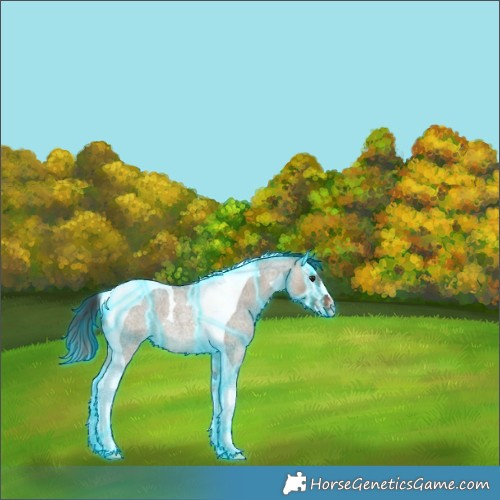 Horse Color:Thunderstruck Brown Roan Dun Splash Tobiano Rabicano 