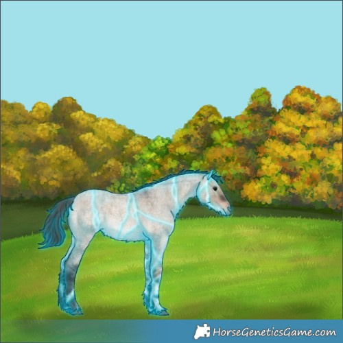 Horse Color:Thunderstruck Bay Roan Dun Rabicano 