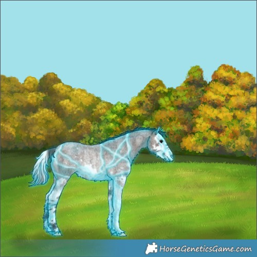 Horse Color:Thunderstruck Brown Roan Splash Rabicano 