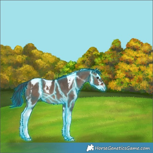 Horse Color:Thunderstruck Brown Dun Splash Tobiano Rabicano 