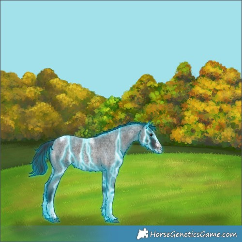 Horse Color:Thunderstruck Brown Roan Splash Tobiano Rabicano 