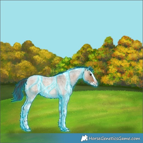 Horse Color:Thunderstruck Bay Roan Dun Splash Tobiano Rabicano 