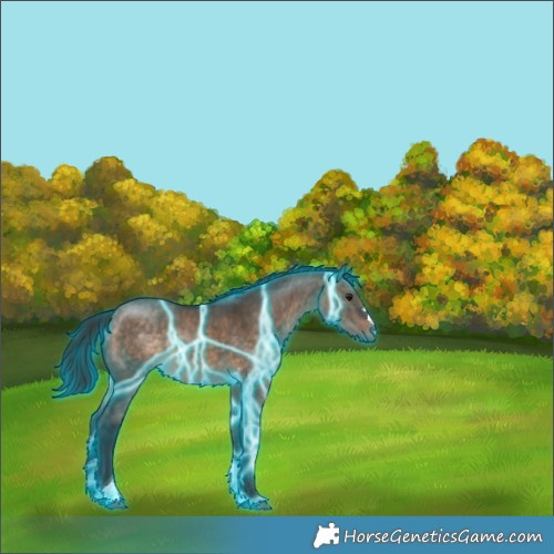 Horse Color:Thunderstruck Brown Dun Tobiano Rabicano