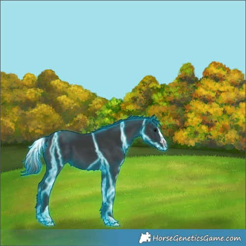 Horse Color:Thunderstruck Black Splash Tobiano Rabicano 