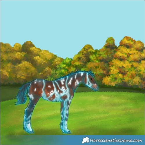 Horse Color:Thunderstruck White Spotted Brown Tobiano Rabicano 