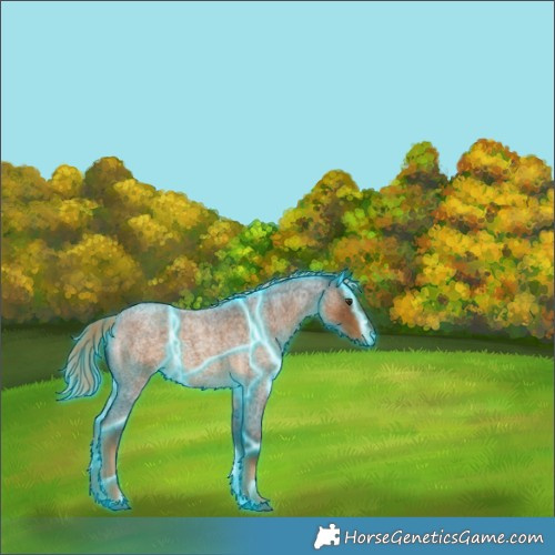 Horse Color:Thunderstruck Chocolate Palomino Roan Rabicano 