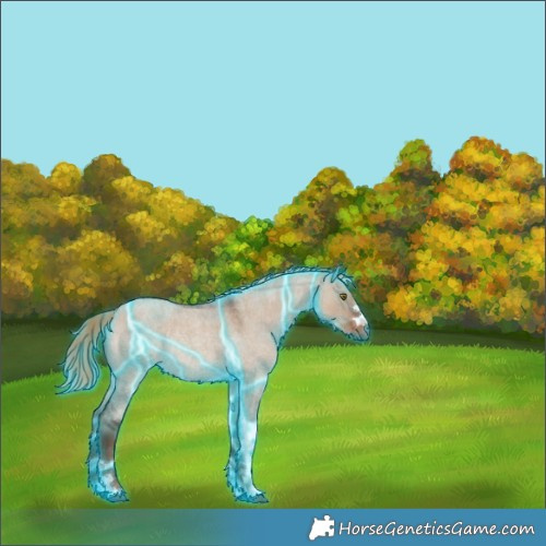 Horse Color:Thunderstruck Liver Red Dun Roan Rabicano 