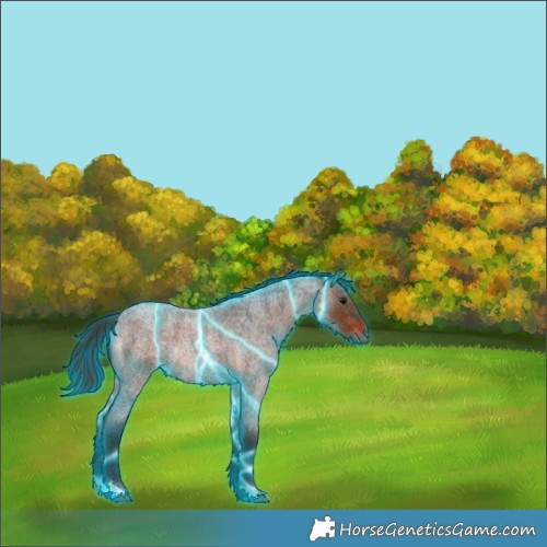 Horse Color:Thunderstruck Bay Roan Rabicano 
