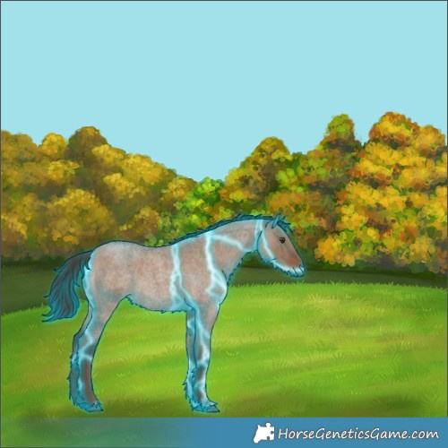 Horse Color:Thunderstruck Liver Red Dun Roan Rabicano 