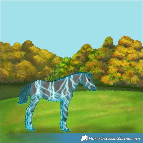 Horse Color:Thunderstruck Grullo Tobiano Rabicano 