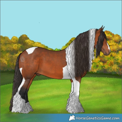 Horse Color:Bay Tobiano 