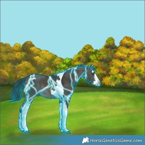 Horse Color:Thunderstruck Brown Dun Splash Tobiano Rabicano 