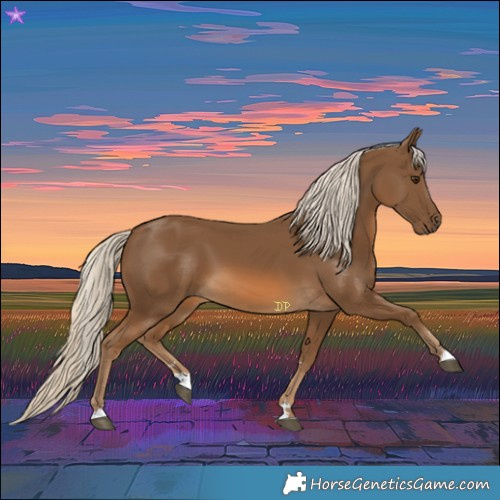 Horse Color:Chocolate Palomino 