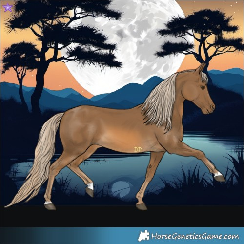Horse Color:Chocolate Palomino 