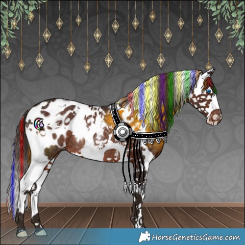 Horse Color:Painted Liver Chestnut Splash Tobiano Appaloosa Rabicano 