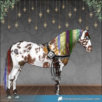 Horse Color:Painted Liver Chestnut Splash Tobiano Blanket Rabicano 