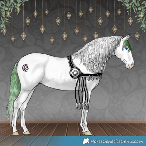 Horse Color:Watercolor Bay Splash Tobiano Appaloosa 