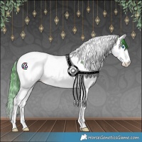 Horse Color:Watercolor Bay Splash Tobiano Appaloosa 