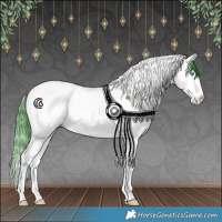 Horse Color:Watercolor Bay Splash Tobiano Near Leopard 