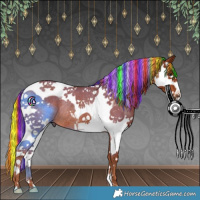 Horse Color:Painted Chestnut Splash Tobiano Rabicano 