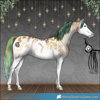 Horse Color:Painted Red Onyx Sabino Splash Appaloosa