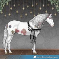 Horse Color:Watercolor White Spotted Silver Brown Splash Tobiano Rabicano 