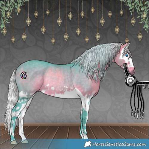 Horse Color:Watercolor Silver Brown Splash Rabicano 
