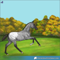 Horse Color:Smoky Blue Roan Snowflake Varnish