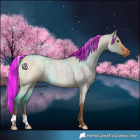 Horse Color:Painted Silver Bay Roan Dun