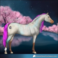 Horse Color:Painted Silver Bay Roan Dun 