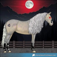 Horse Color:Watercolor Silver Brown 