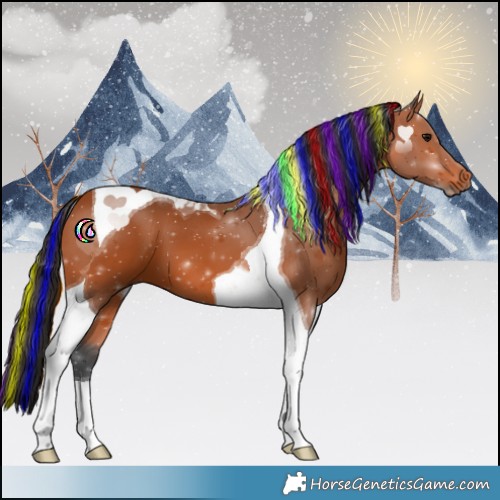 Horse Color:Painted Bay Tobiano 