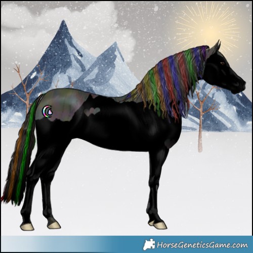 Horse Color:Void Painted Midnight Buckskin Ice Splash 