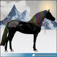 Horse Color:Void Painted Midnight Buckskin Ice Splash 