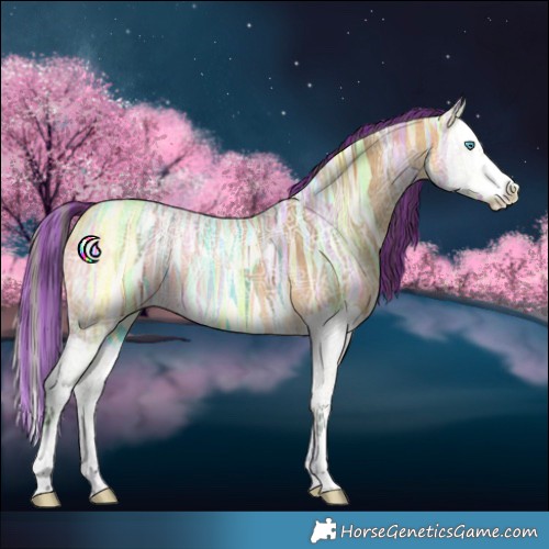 Horse Color:Painted Buckskin Ice Splash 