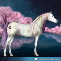 Horse Color:Painted Buckskin Ice Splash