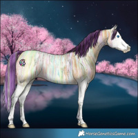 Horse Color:Painted Buckskin Ice Splash